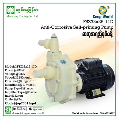 Anti-Corrosive Centrifugal Pump Keep World FS(Z)32×25-11D 750W (220V)