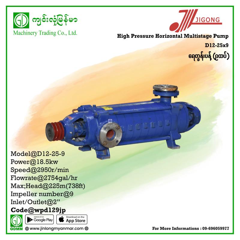 Multistage Pump JIGONG D12-25-9 225m 2"(18.5Kw-Pulley)