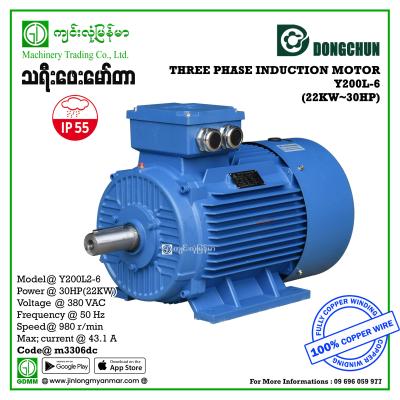 AC MOTOR DONGCHUN  Y-200L2-6 THREE PHASE